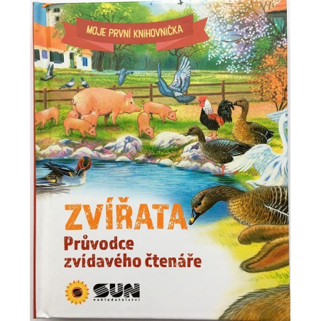 Obrázek