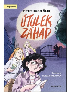 Obrázek