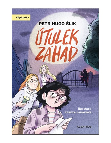Obrázek