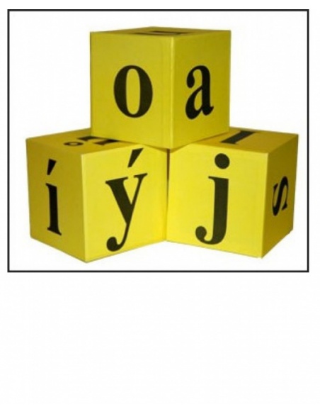 Obrázek