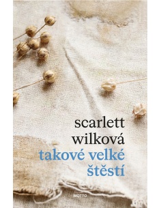 Obrázek