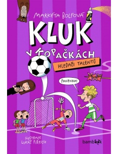 Obrázek