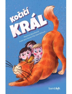 Obrázek