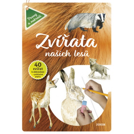 Obrázek