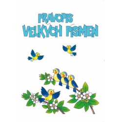 Pravopis velkých písmen  - učebnice do školy