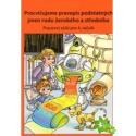 Procvičujeme pravopis podstatných jmen rodu ženského a středního 