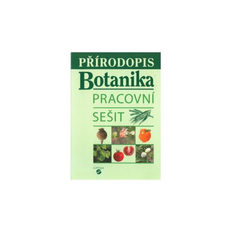 Obrázek