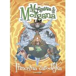 Morgavsa a Morgana - Princezna čarodějka  - učebnice do školy
