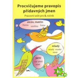 Procvičujeme pravopis přídavných jmen  - učebnice do školy