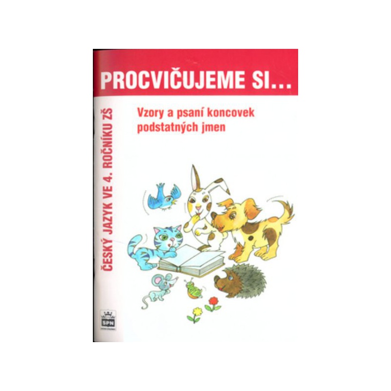 Procvičujeme si...Vzory a psaní koncovek podstatných jmen 4.r.