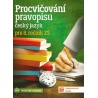 Slouží k procvičování pravopisných jevů probíraných v 8. ročníku.