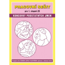 Pracovní sešit Koncovky podstatných jmen - pracovní sešit pro