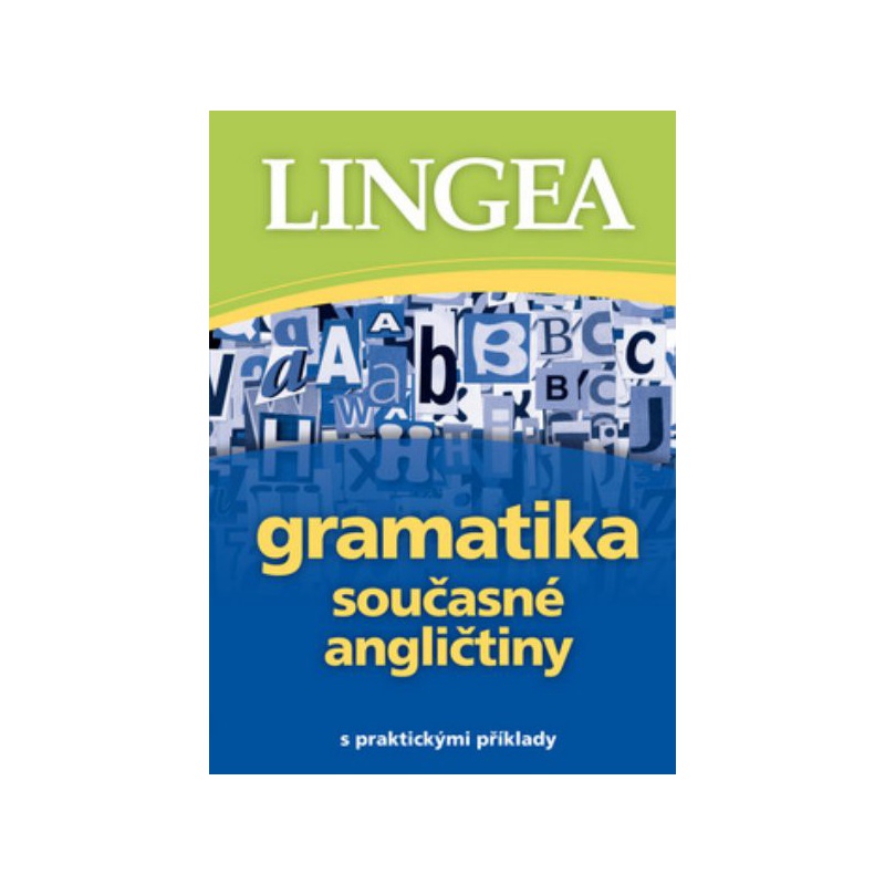 Gramatika současné angličtiny s praktickými případy