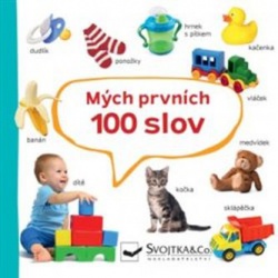 Mých prvních 100 slov  - učebnice do školy