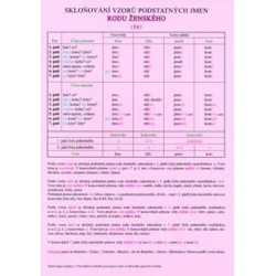 Skloňování podstatných jmen vzoru ženského Albra s.r.o -
