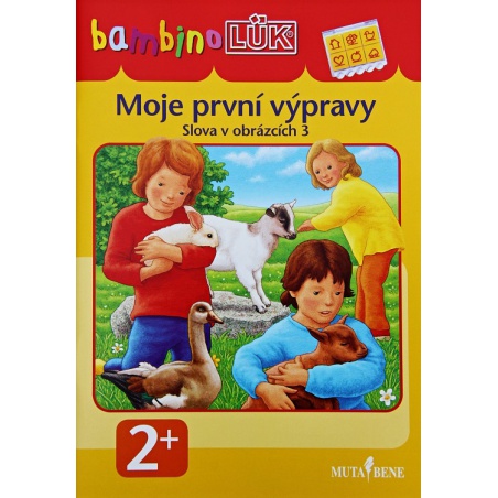 Obrázek