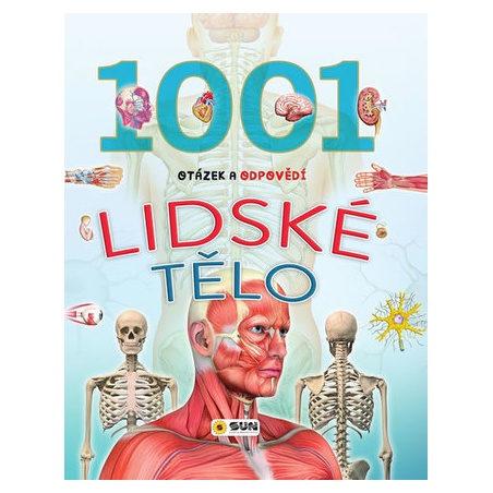 Obrázek