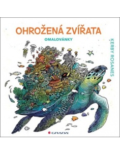 Obrázek