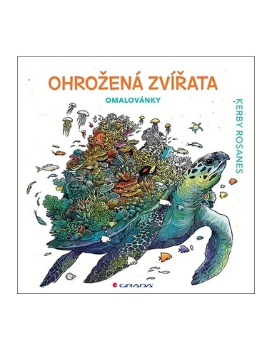 Obrázek