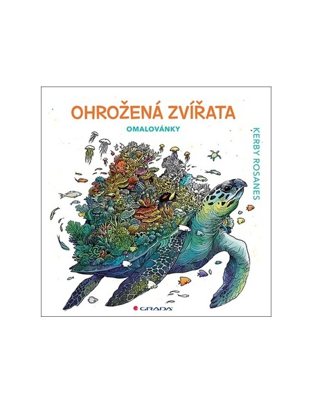 Obrázek