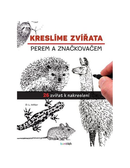 Obrázek