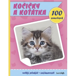 Kočičky a koťátka 100 samolepek  - učebnice do školy