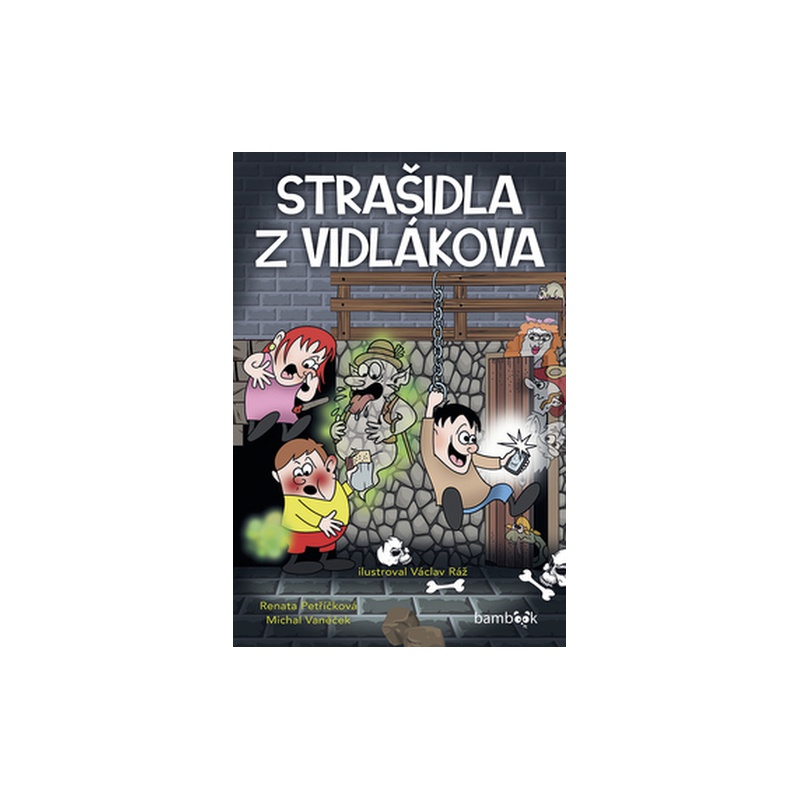 Obrázek