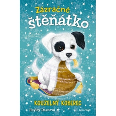 Obrázek