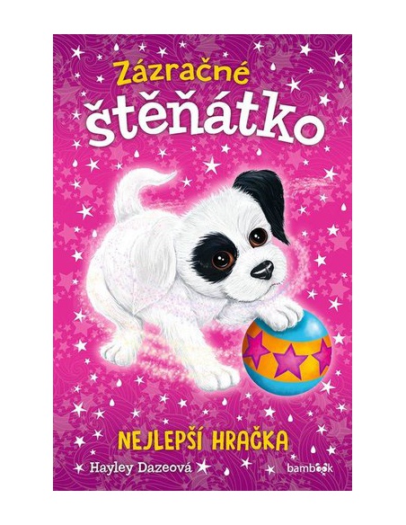 Obrázek